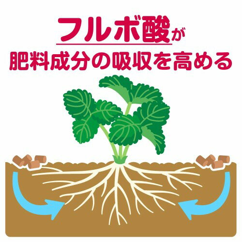 花ごころ 甘いイチゴをつくる土 フルボ酸配合 5L