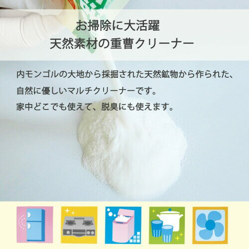 ライオンケミカル ピクス マルチ重曹クリーナー(食器 鍋 浴槽 換気扇 レンジ キッチン)天然素材 2kg 大容量