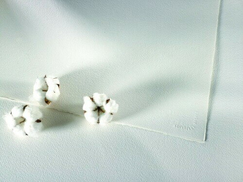 Arches ���륷�� ��̻� �֥��å� 300g �˺�46X61cm 20�� (1795076) �ʥ�����ۥ磻��