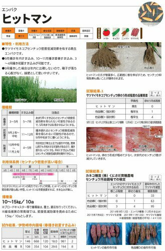 エンバク ヒットマン 1kg カネコ種苗 SH