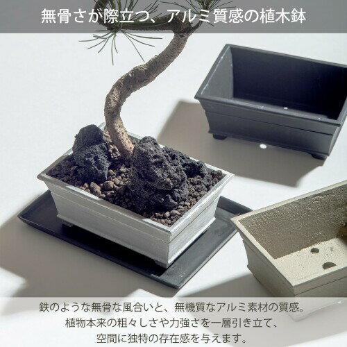 ポッシュリビング 植木鉢 ブルータポット 約W12×D8.5×H5cm ゴールド 64103