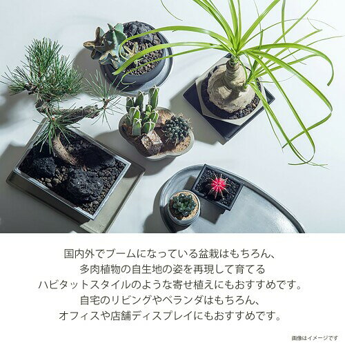 ポッシュリビング 植木鉢 ブルータポット 約W12×D8.5×H5cm ゴールド 64103