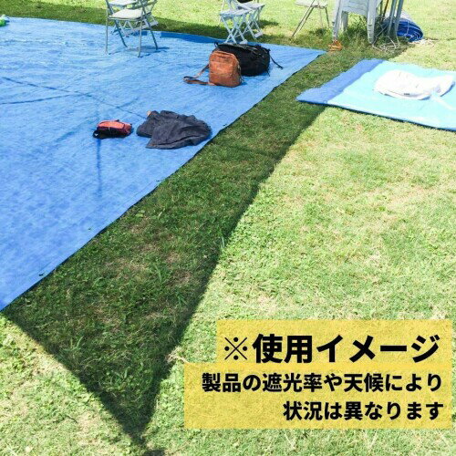 ダイオ 遮光ネット ダイオネット 610 カラミ織 黒 遮光率45% 2x2m