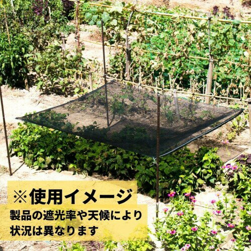ダイオ 遮光ネット ダイオネット 610 カラミ織 黒 遮光率45% 2x2m