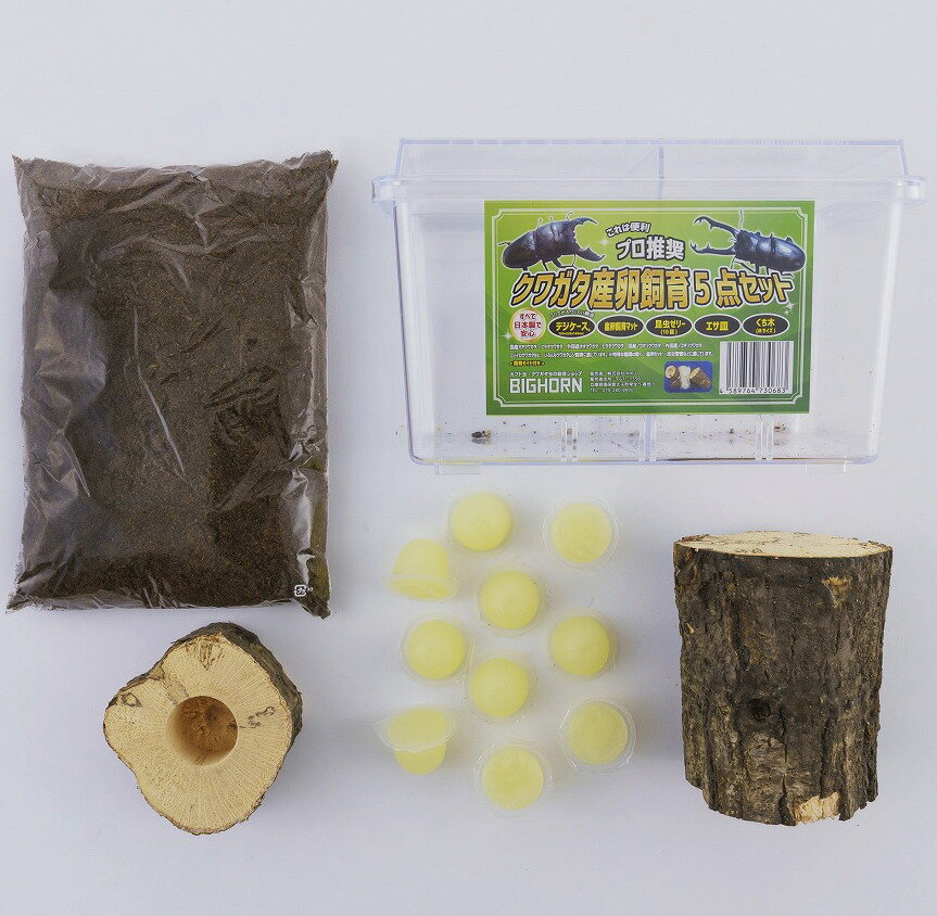 BIGHORN MIKU���塞��������饻�å� 5�����å� ���饱����������ޥåȡ�����꡼������������������� ���塞���ॷ