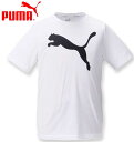 傫TCY Y PUMA v[} ANeBurbOSTVc v[}zCg 2XL 3XL 4XL 