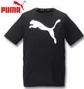 傫TCY Y PUMA v[} ANeBurbOSTVc v[}ubN 2XL 3XL 4XL 