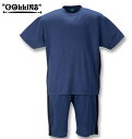 大きいサイズ メンズ COLLINS ハニカムメッシュ 脇切替 半袖Tシャツ ハーフパンツ 上下セット ネイビー×ブラック 3L 4L 5L 6L 8L 送料無料