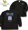 大きいサイズ メンズ (What it isNt) CVC 裏起毛 クルーネック トレーナー ブラック 3L 4L 5L 6L 8L 送料無料