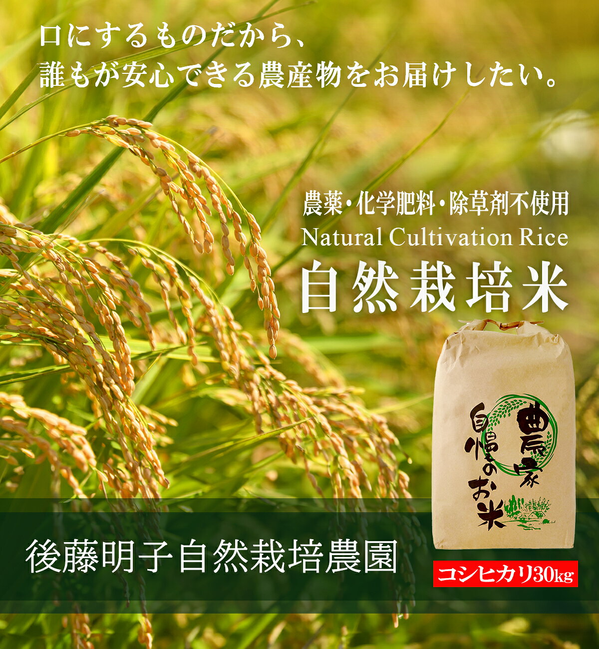熊本県阿蘇山の外輪山の山麓で、加藤明子さんはお米作りを営んでいます。栽培期間は農薬や肥料、除草剤を一切不使用の自然栽培による「コシヒカリ」玄米です。　【栽培期間無農薬・無化学肥料・除草剤不使用】 玄米 令和7年度新米 コシヒカリ 30kg 熊本県産 阿蘇山麓の後藤明子自然栽培農園 自然栽培米 複数原料米(ブレンド米）ではなくて コシヒカリのみの単一原料米 精米改良剤(プラスチック米)一切不使用 なので安心して食べられる