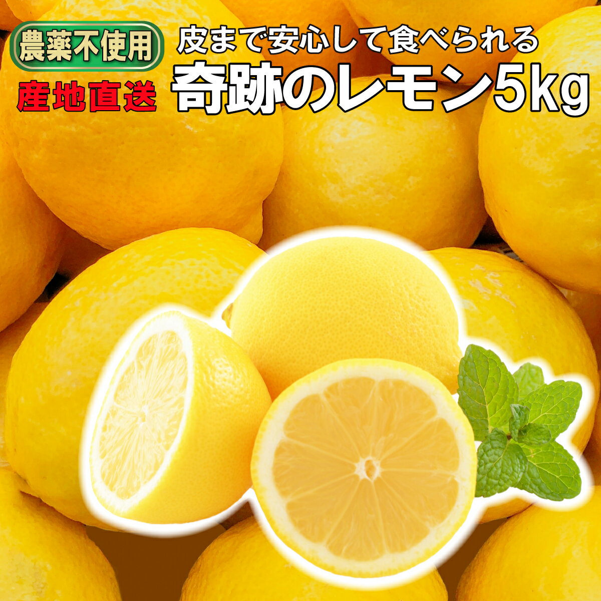 自然栽培 奇跡のレモン 5kg 国産 完全農薬不使用 無肥料 除草剤不使用 ノーワックス 防腐剤・防カビ剤不使用だから中の実も果汁も皮まで安心して食べられる はちみつレモンにぴったり 瀬戸内の島レモン