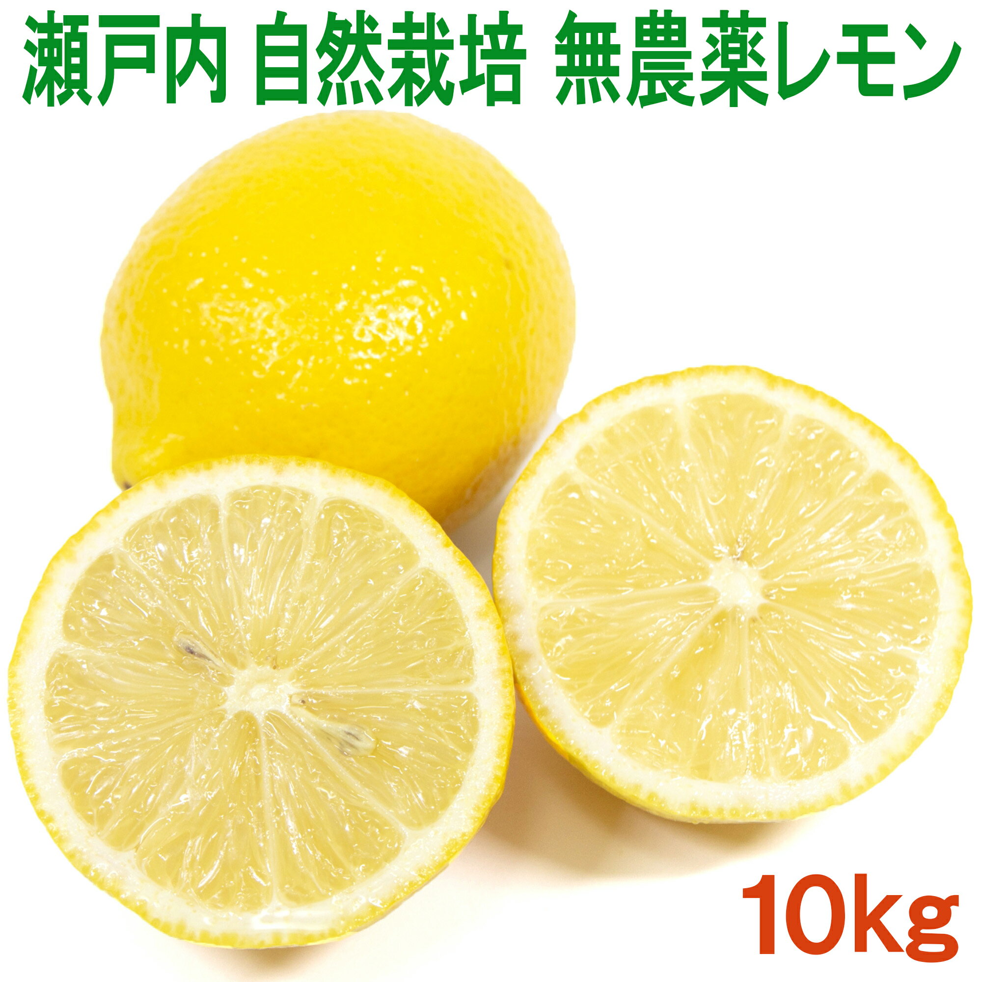 国産 愛媛県産 自然栽培 奇跡のレモン 10kg 大黒農園 農薬完全不使用 化学肥料・除草剤不使用 ノーワックス 防腐剤 防カビ剤不使用だから中の実も果汁も皮まで安心して食べられる