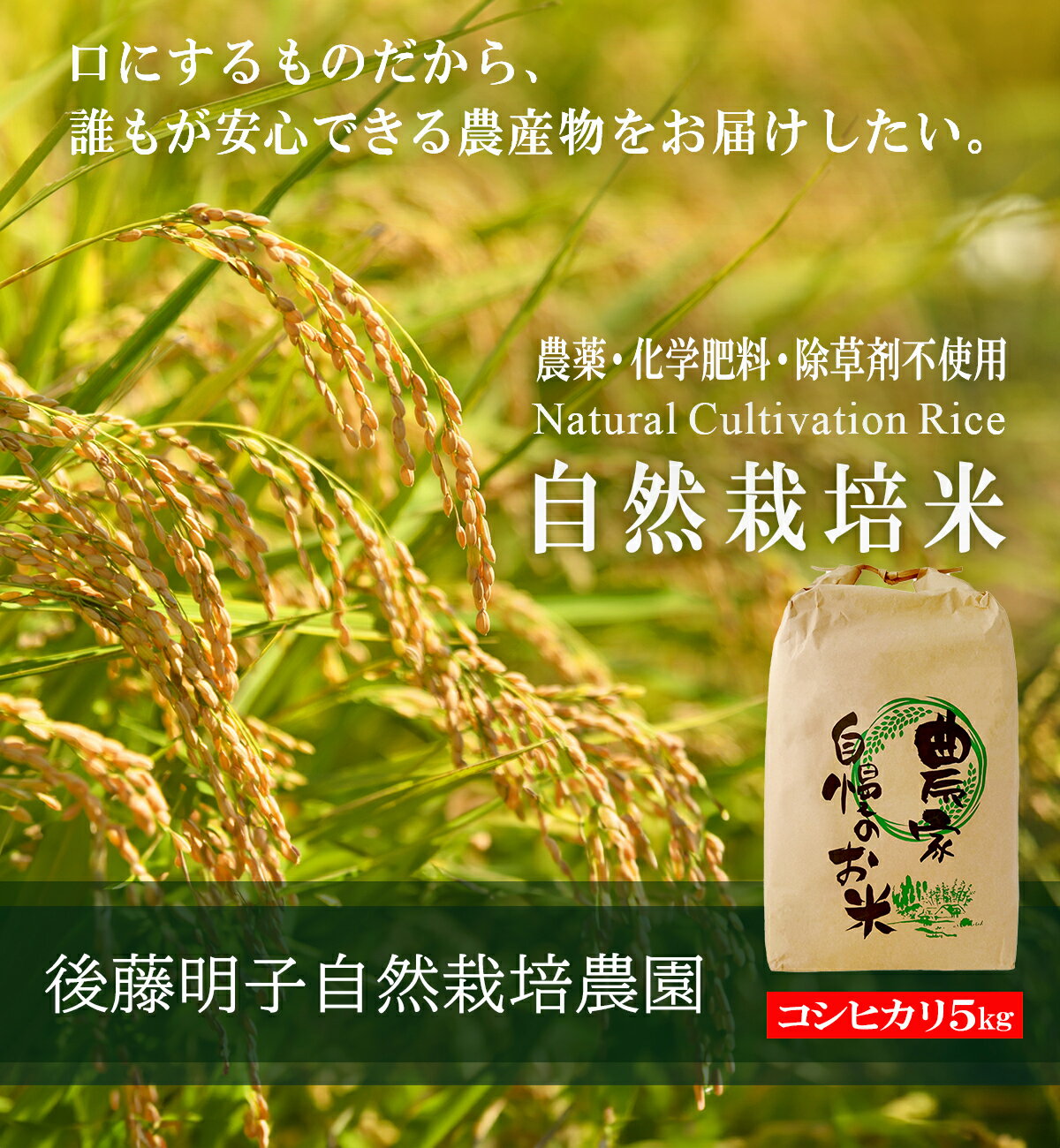 熊本県阿蘇山の外輪山の山麓で、加藤明子さんはお米作りを営んでいます。栽培期間は農薬や肥料、除草剤を一切不使用の自然栽培による「コシヒカリ」玄米です。　【栽培期間無農薬・無化学肥料・除草剤不使用】 玄米 令和7年度新米 コシヒカリ 30kg 熊本県産 阿蘇山麓の後藤明子自然栽培農園 自然栽培米 複数原料米(ブレンド米）ではなくて コシヒカリのみの単一原料米 精米改良剤(プラスチック米)一切不使用 なので安心して食べられる