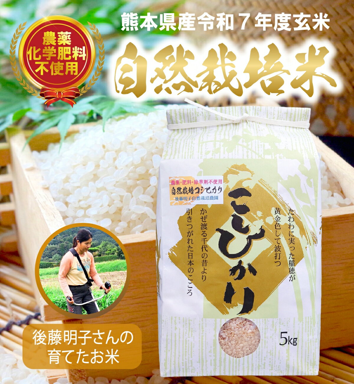 熊本県阿蘇山の外輪山の山麓で、後藤明子さんはお米作りを営んでいます。農薬や肥料、栽培期間中は除草剤を一切使わない、自然栽培によるコシヒカリです。　【栽培期間中無農薬・無化学肥料・除草剤不使用】 玄米 令和7年度新米 コシヒカリ 5kg 熊本県産 阿蘇山麓の後藤明子自然栽培農園 自然栽培米 複数原料米(ブレンド米）ではなくて コシヒカリのみの単一原料米 精米改良剤(プラスチック米)一切不使用 なので安心して食べられる