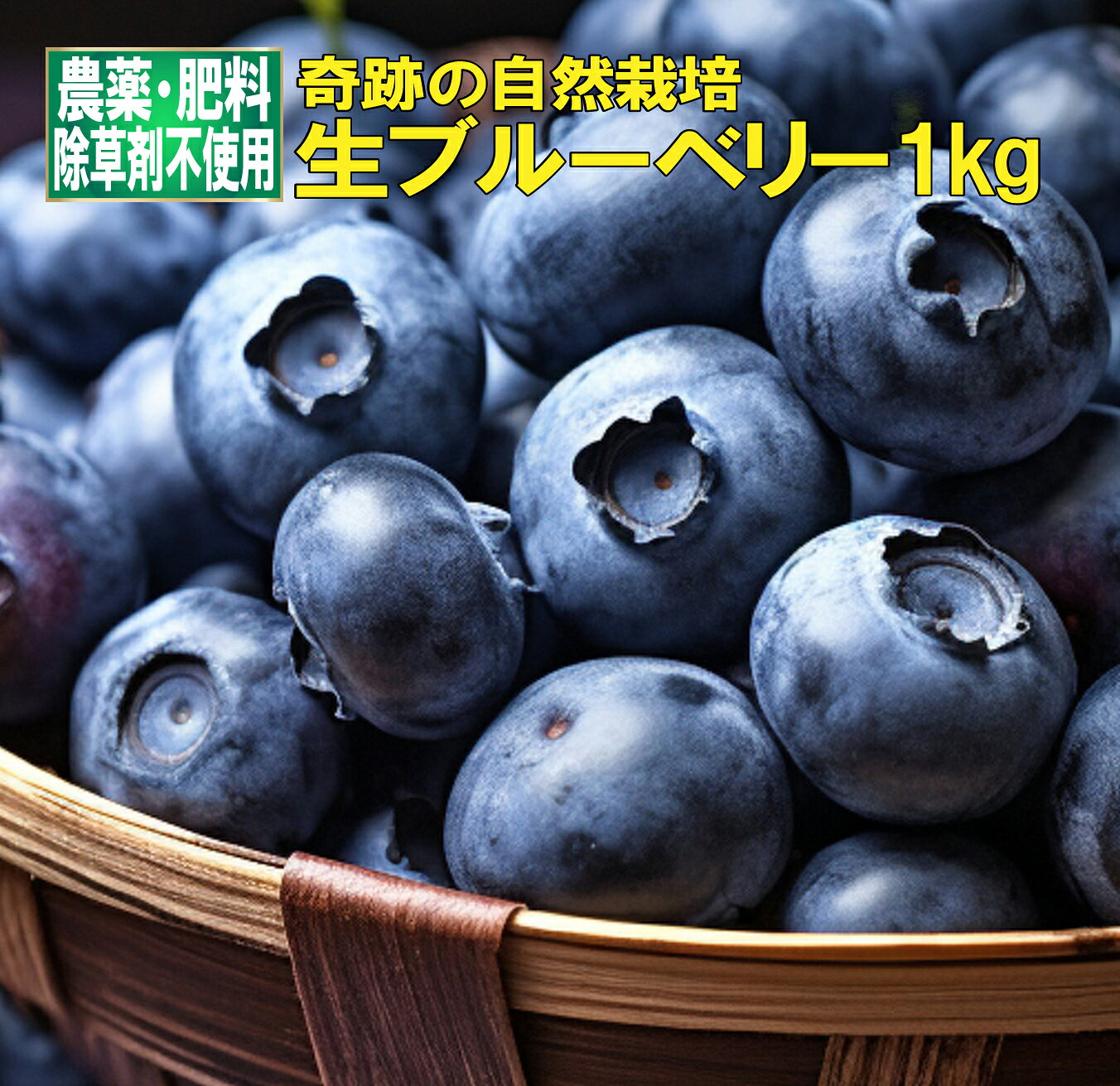 楽天市場】自然農法 ブルーベリーの通販