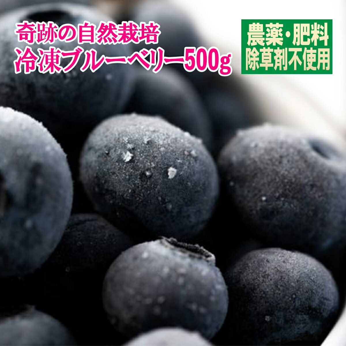 楽天市場】自然農法 ブルーベリーの通販