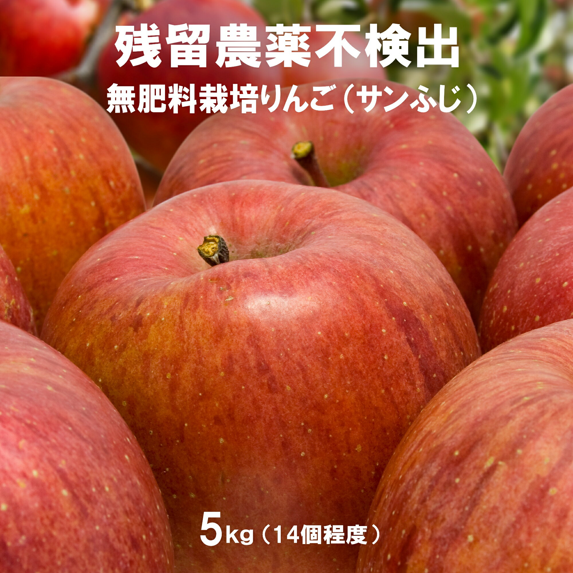これはうまい！ りんご 5kg 残留農薬不検出 無肥料 (化学系も有機系も肥毒をもたらすので完全不使用) 除草剤不使用 グリホサート不検出 硝酸態窒素不検出 残留放射性物質不検出 ノーワックス 防腐剤・防カビ剤不使用 群馬県産 サンふじ 甘味の強い木熟りんご