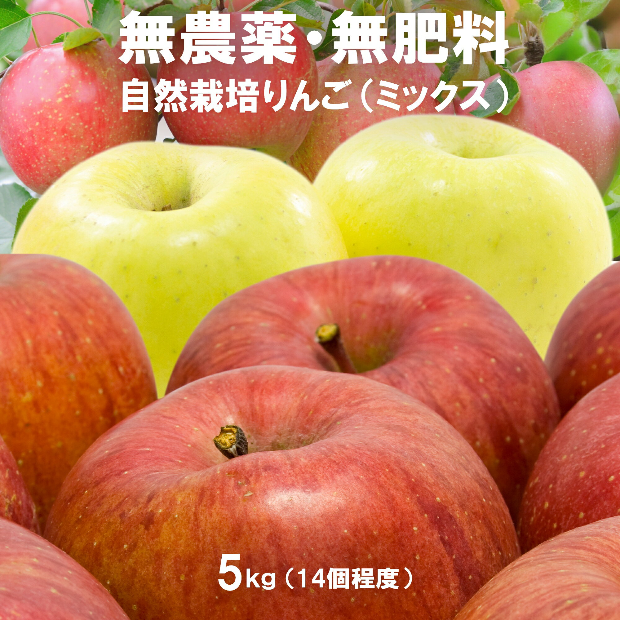 これはうまい！ りんご 5kg 残留農薬不検出 無肥料 (化学系も有機系も肥毒をもたらすので完全不使用) 除草剤不使用 グリホサート不検出 硝酸態窒素不検出 残留放射性物質不検出 ノーワックス 防腐剤・防カビ剤不使用 群馬県産 サンふじと名月のミックス 甘味の強い木熟りんご