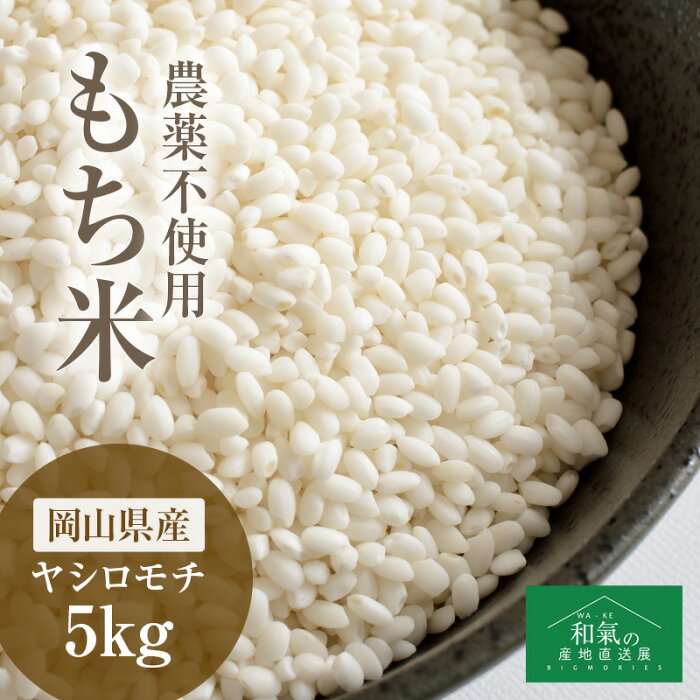 もち米 5kg | 農薬 化学肥料 除草剤 を使わないで育てた ヤシロモチ 岡山県産 無農薬 オーガニック 有機栽培 産地直送 国産 日本製 【39】