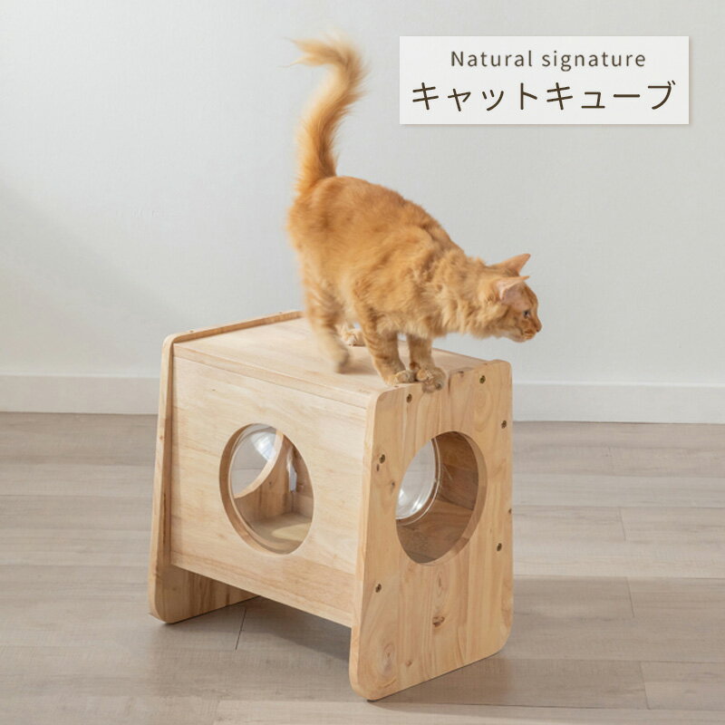 乐天商城 - キャットキューブ Natural signature 0194 19984 ナチュラル 北欧 天然木 木製 リビングテーブル キャットハウス ペット家具 多機能家具 スタッキング可能 カスタマイズ可能 コンパクト ラバーウッド材