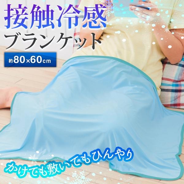 䴶륱åȡҤ꥿륱å 8060cm 餵 ʤ餫  꿨 ̵ ֥롼 Ҥݤ С ...