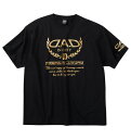 大きい メンズ 箔プリント半袖Tシャツ D.A.D 3L 4L 5L 6L 7L 8L ブラック1278-5268- シンプル おしゃれ 夏 カジュアル ストリート ファッション アウトドア 快適 ルームウェア