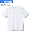 【大きいサイズ】【メンズ】【3L4L5L6L8L】PUMA DRYハニカム半袖Tシャツ【トップス】Tシャツ 肌着