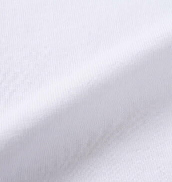 魂 相撲絵デザイン半袖Tシャツ　大きいサイズ　メンズ　ビッグサイズ メンズファッション 3L4L5L6L8L　大きいサイズの服　専門店　大きなサイズ ビックサイズ 超特大　綿100％　力士　大相撲　イラスト　プリントT　おもしろ　ユニーク 日本　和風　お土産