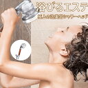 シャワーヘッド、ホースと壁ブラケットを含む、高圧イオンフィルターハンドヘルドシャワー、乾燥肌および脱毛の修復用(色は水温によって変化します) (和風)