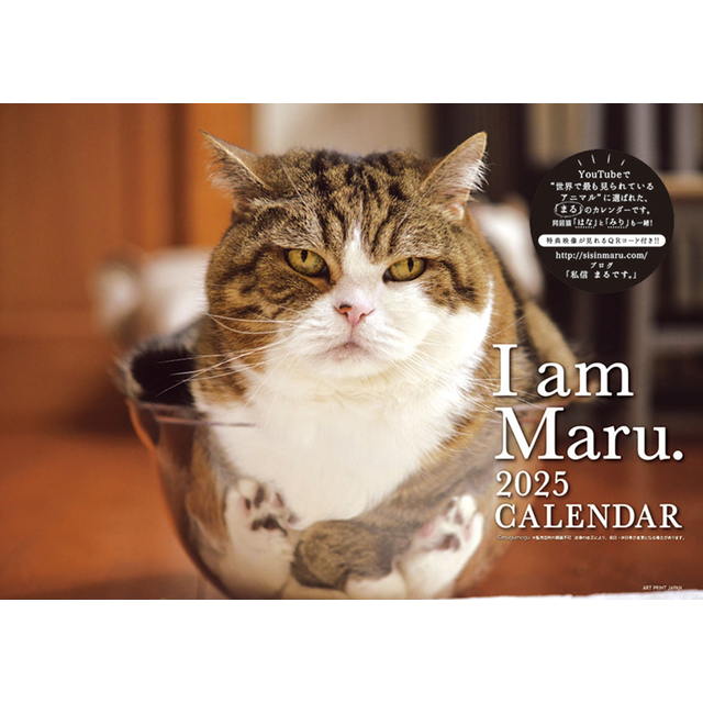 まるちゃん 2025年 ( 令和7年 )　カレンダー CL-390【同梱不可】【ヒラcal】