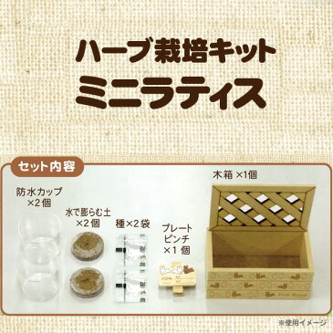リラックマ グッズ リラックマ お花畑の小さな子うさぎテーマ ハーブ栽培キット(レモンバーム) ミニラティス 子うさぎ RK2001A【コリラックマ/キイロイトリ/チャイロイコグマ/ハーブ栽培/栽培セット/家庭菜園/日本製】【あす楽対応】