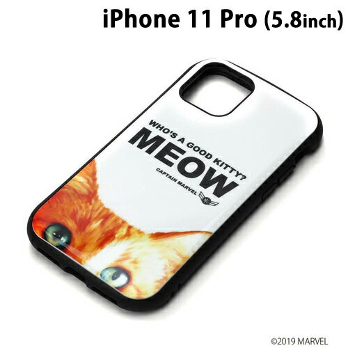 PG-DPT19A13CTM [�L���v�e���E�}�[�x��]