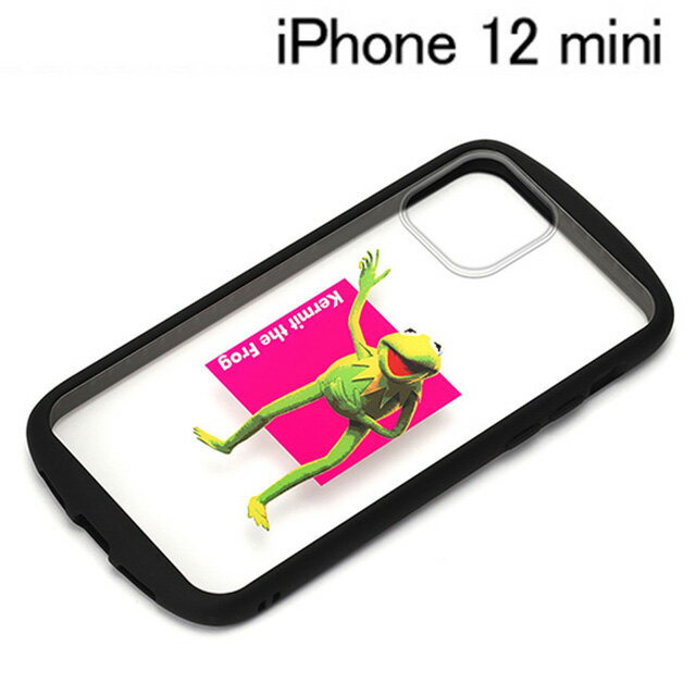 �ǥ����ˡ�iPhone 12 mini�� ���饹���ե����� �����ߥå� PG-DGT20F06KER�ڥ᡼��������̵����