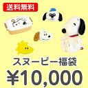 【送料無料】 スヌーピー 10000円福袋（福箱）【あす楽対応】