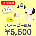 【送料無料】 スヌーピー 5500円福袋 福箱 【あす楽対応】