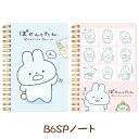 (10) ぽかんとたん B6SPノート NY38201/NY38202【ぽかんとたん/ひやたん/あげたん/うさぎ/サンエックス/文具/文房具/ステーショナリー/リングノート】