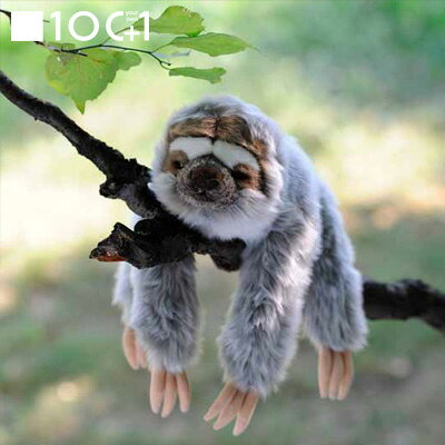 ぬいぐるみ101 動物のヌイグルミ ナマケモノ　SM070【なまけもの/動物/ぬいぐるみ/かわいい/抱きぐるみ/ギフト/プレゼント】【あす楽対応】のサムネイル