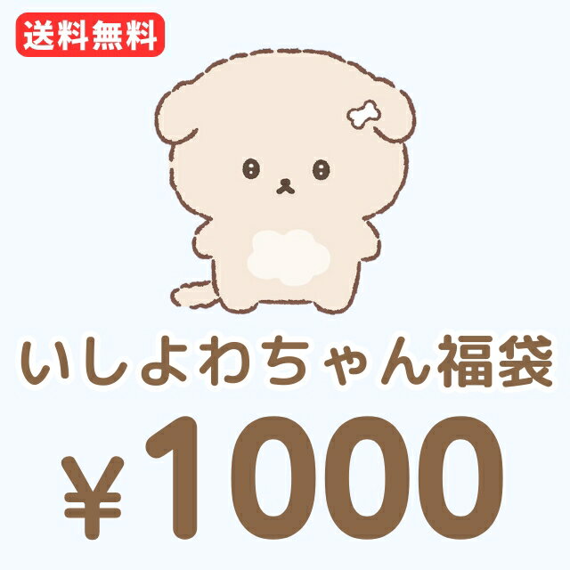 【メール便送料無料！1000円ポッキリ！】 いしよわちゃん 4点入り・1000円福袋（福箱）【1000psan】のサムネイル