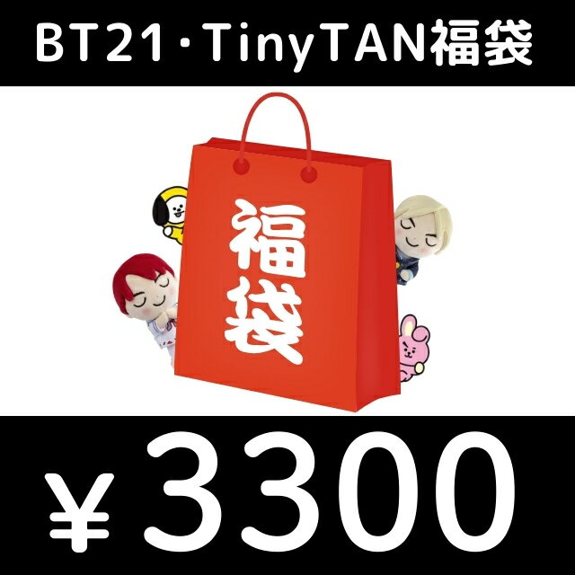 BT21・TinyTAN 3300円福袋（福箱）
