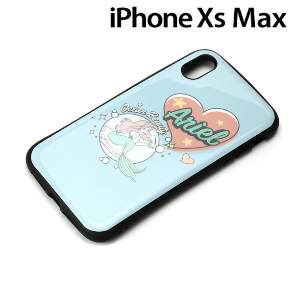 PG-DCS519ARL [�A���G��]