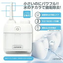 歯垢除去 口腔洗浄器 デンタルクリア ミニ 口腔洗浄機 USB充電 コードレスタイプ 高圧 水圧 電動 口臭 歯周病 虫歯 口腔ケア 水流歯ブラシ 歯間 ウォー...