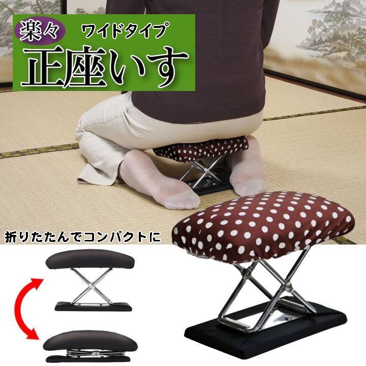 訳あり アウトレット B 楽々 正座いす ワイドタイプ ドット柄 収納ポーチ付き 折りたたみ 法要 や お稽古 事など 長時間の正座 に最適 テレビ用の枕に 携...