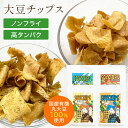 【7/4限定 99%OFF】ダイエットおやつ ソイチップス 40g(有機JASプレーン/有機JAS海塩/有機JASのり塩/山羊チーズ)大豆 国産 有機 ダイエット食品 低カロリー グルテンフリー 無添加 食物繊維 置き換え お菓子 おつまみ おやつ 満腹