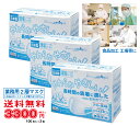 【100枚入×3箱セット】2層マスク 業務用 100枚入 ホワイト 3箱セット〈送料無料〉【ビホウ 美保 工場用マスク キッチン用 飲食店 男性用 レギュラー 普通サイズ 90×173mm 2層構造 ソフト生地 耳が痛くならない 無臭 国産品 】(4)