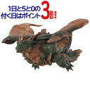 怪獣番外地 魔海獣 ダガーラ モスラ2 海底の大決戦◆新品Ss【即納】【郵便局受取対応】