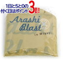 【1日と5・0のつく日はポイント3倍!】嵐/ARASHI BLAST in Miyagi/レインポンチョ◆新品Ss【即納】【ゆうパケット/コンビニ受取/郵便局受取対応】