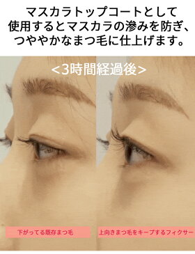\アイメイク特集/【メール便 送料無料】【韓国コスメ】『Etude House・エチュードハウス』 マスカラフィクサーパーフェクトラッシュ 2個セット【インスタ映え】【お中元】【正規品】