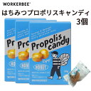 『韓国食品』WORKERBEE ワーカービー はちみつ プロポリス キャンディ 10個入り 3箱セット スイーツ やさしい甘さ