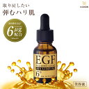 【18日はp3倍+5000円で500円off!】egf 美容