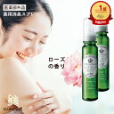 \楽天1位/ 【5/1 全品5倍+3000円で300円off!】【お得 2本 セット】デオドラントスプレー デオドラント 脇 制汗スプレー 制汗剤 ワキガ対策 ...